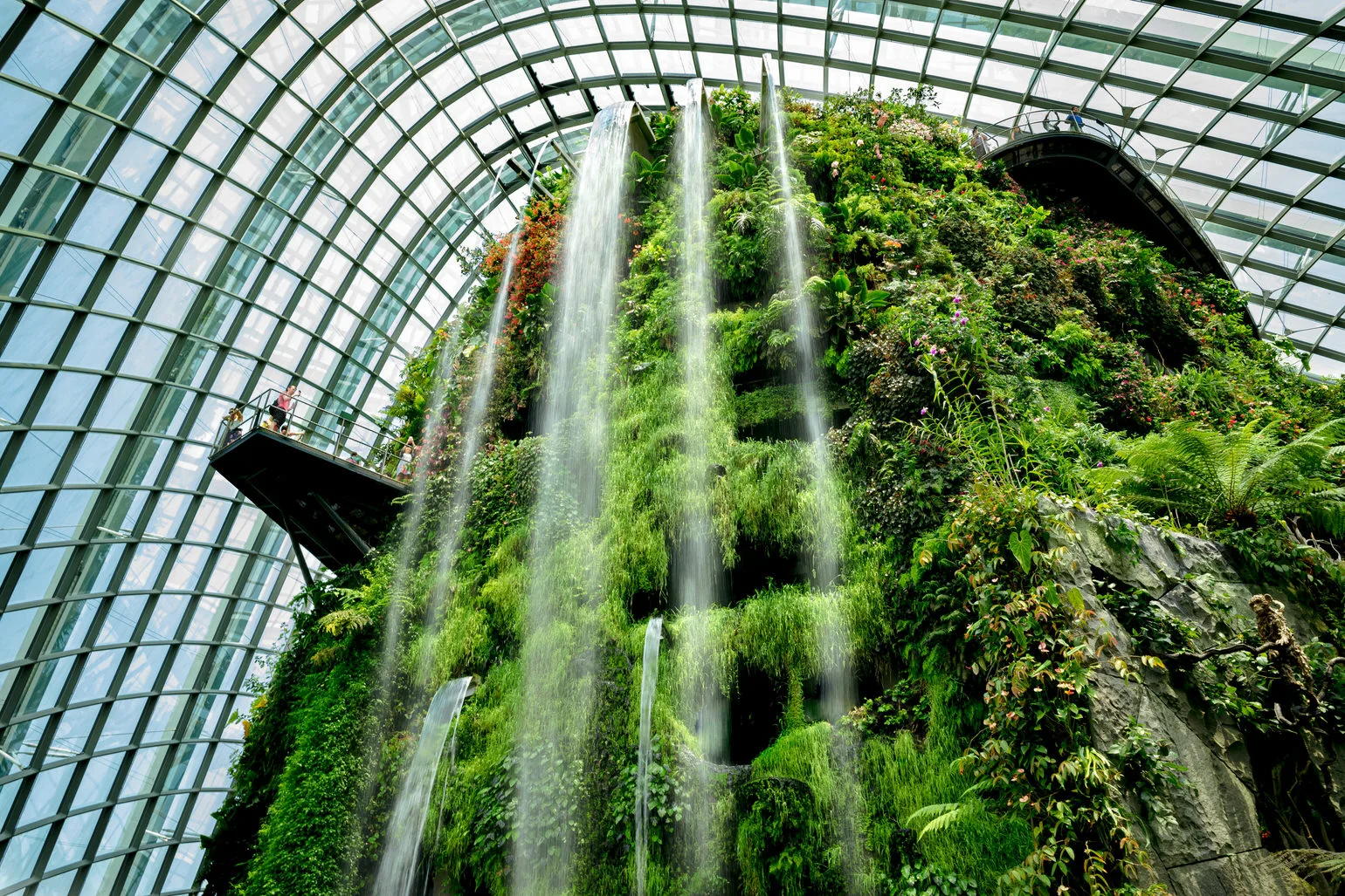 Waterfalls pouring down a towering wall of ferns and plants under the glass dome of Gardens by the Bay in Singapore