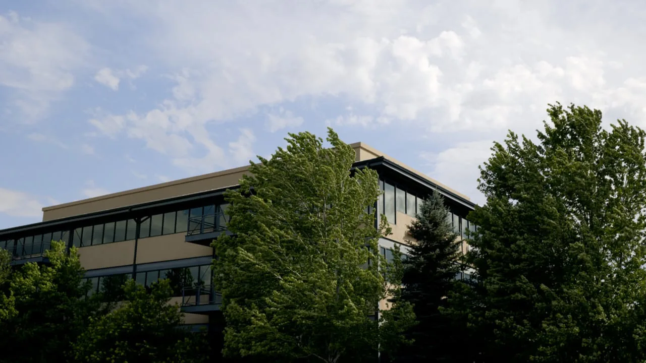 Still from a film for Peak Dental Health: wind-blown green trees in front of a glass-fronted office building in spring