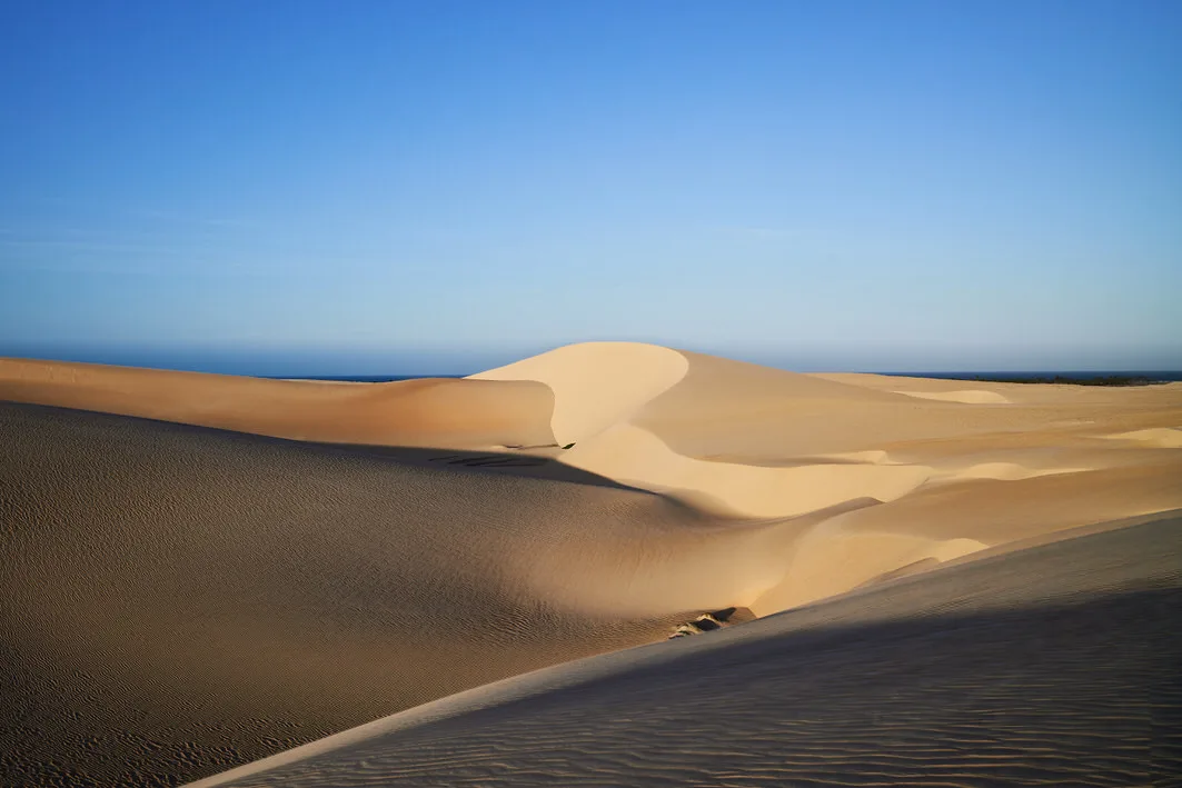 Smooth sand dunes in warm late light and deep shadow, with the sea a thin blue line on the horizon in Brazil