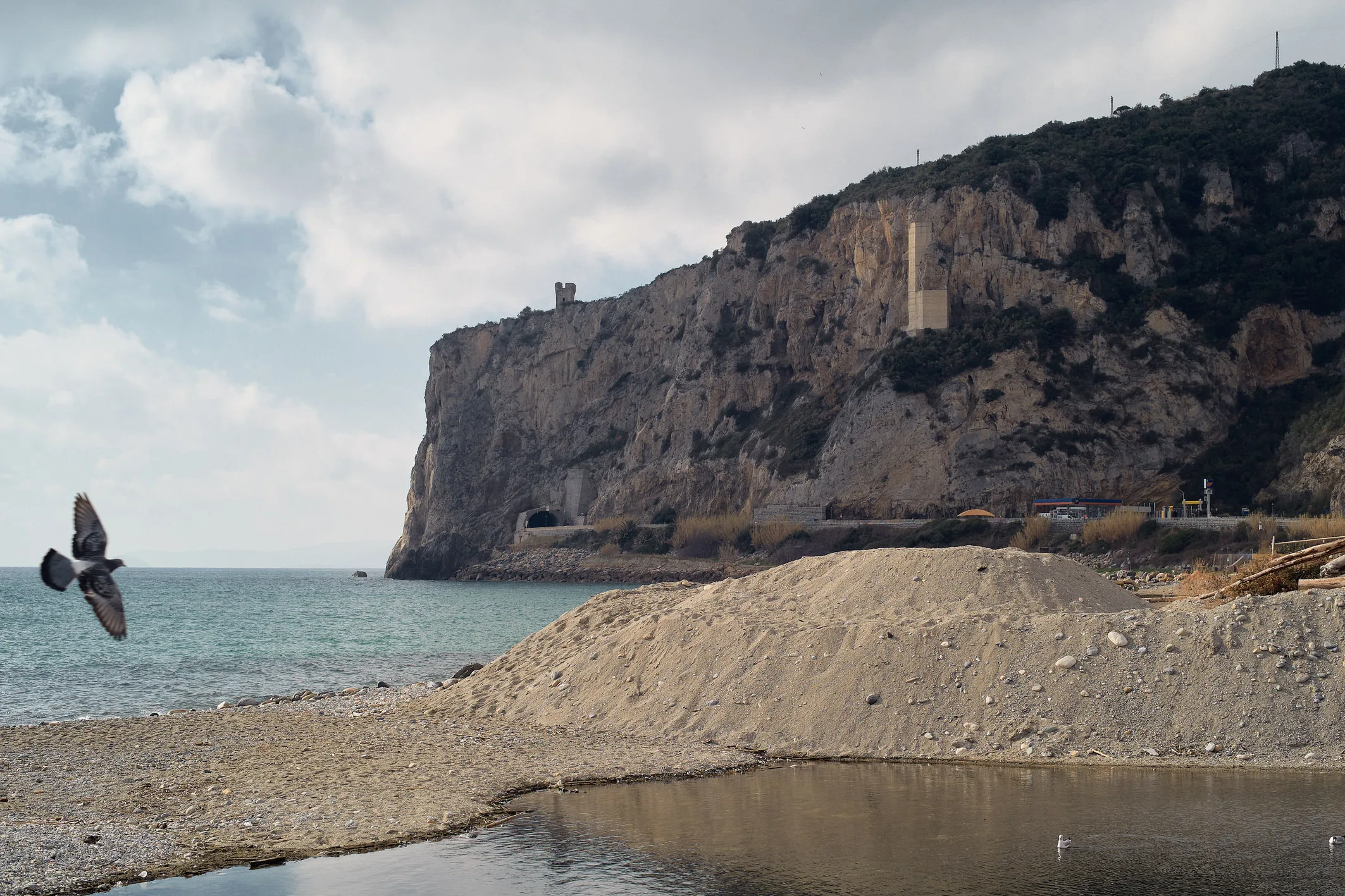 Pigeon flying over a winter beach with piled sand, beneath a limestone cliff and watchtower at Finale Ligure, Italy